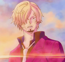 Sanji portrait